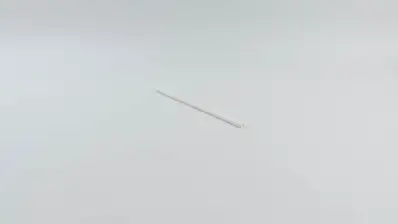 Bulk Paper Straws